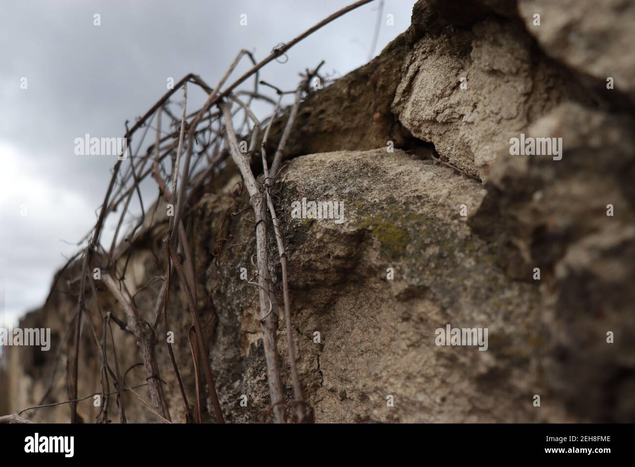 Old stone fence hi-res stock photography and images - Alamy