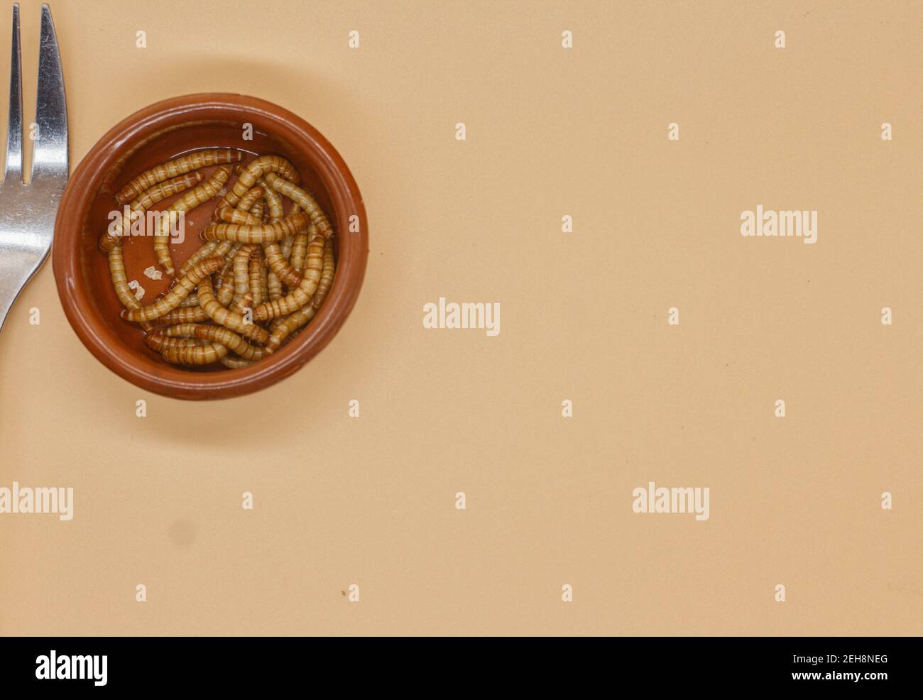 mealworms or Tenebrio molitor for human consumption entomophogy Stock Photo