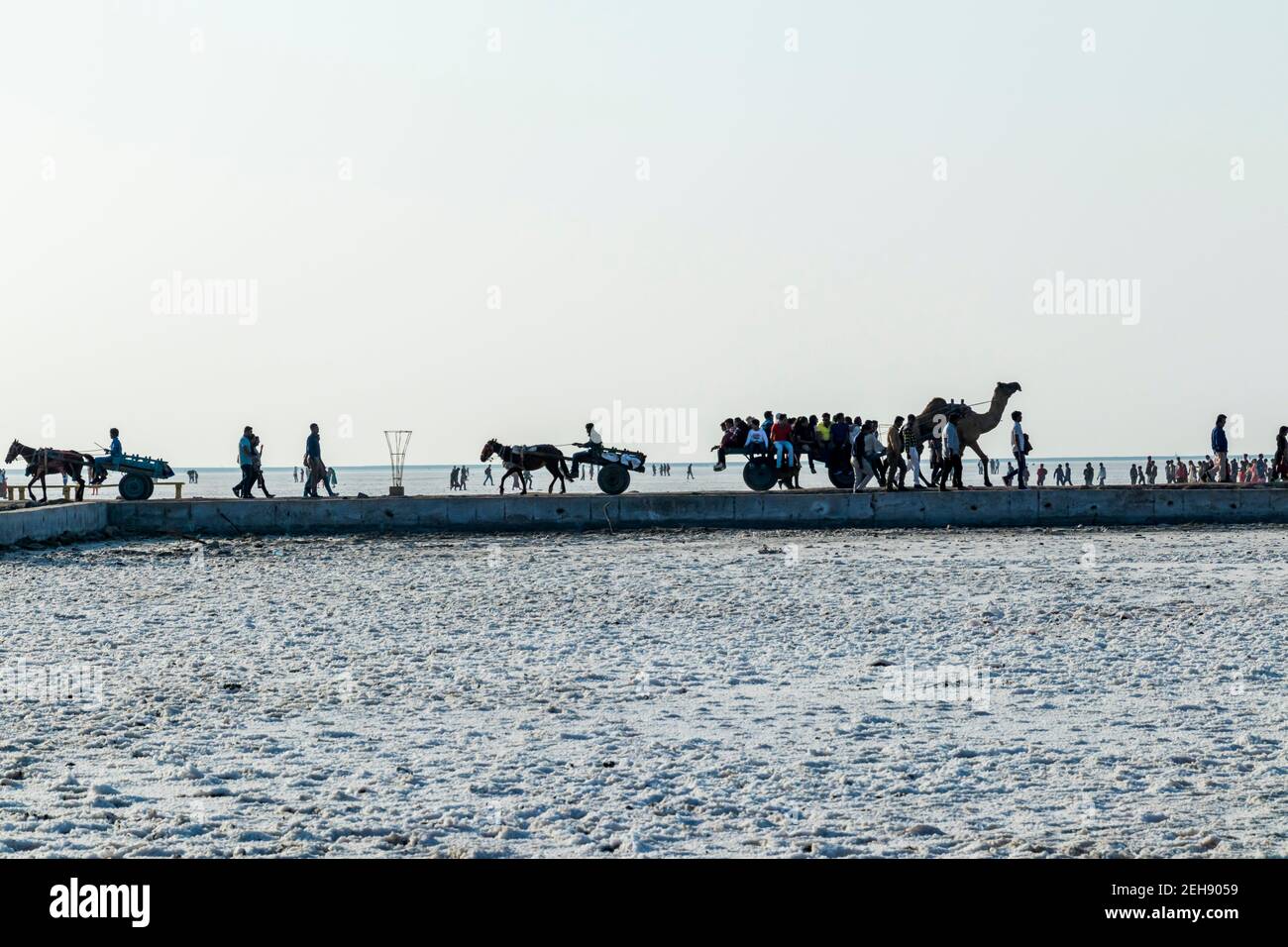 Various views of the Rann of kutch Stock Photo - Alamy