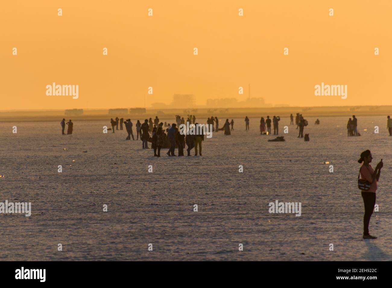 Various views of the Rann of kutch Stock Photo - Alamy