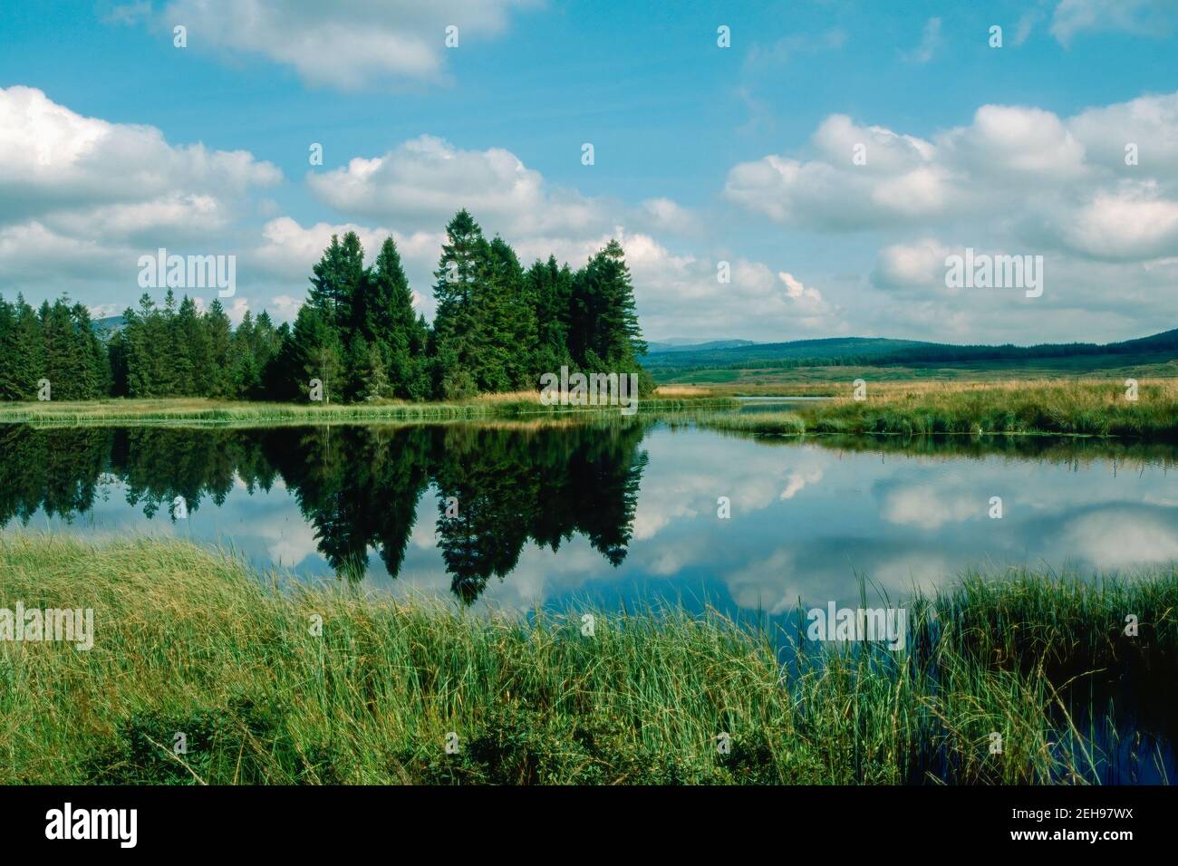 The Stroan Loch on the Raiders Road Forest Drive in The Galloway Forest Park Scotland Stock Photo