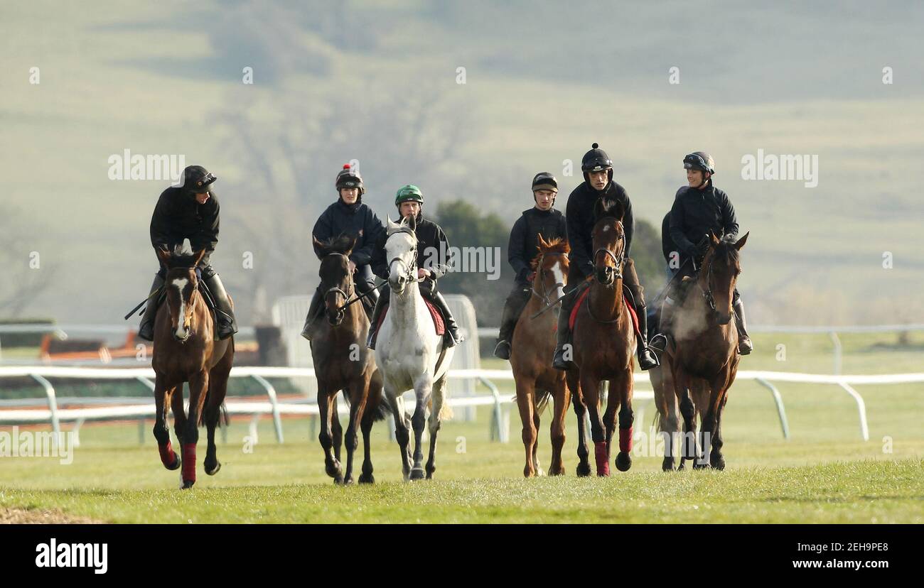 Horse Racing - Cheltenham Gallops - Cheltenham Racecourse - 14/3/11  Jockey Ruby Walsh (2nd R) rides Hurricane Fly during an early morning exercise session prior to the Cheltenham Festival  Mandatory Credit: Action Images / Julian Herbert  Livepic Stock Photo