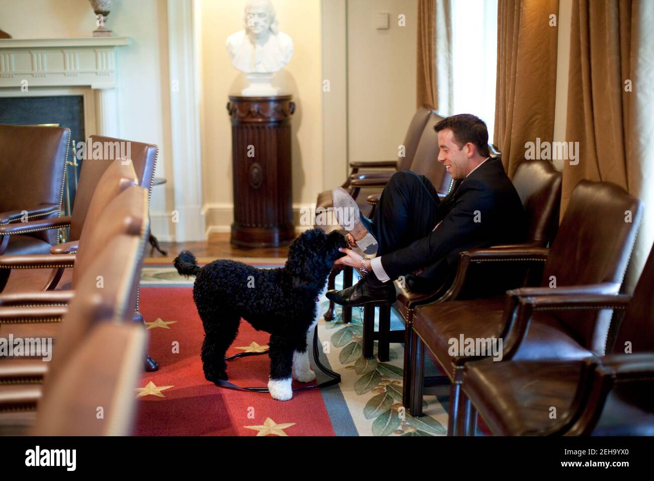 White House Deputy Director of Oval Office Operations Brian Mosteller attempts to protect his shoes as he plays with the Obama family dog Bo in the Cabinet Room at the WHite House April 21, 2009. Stock Photo