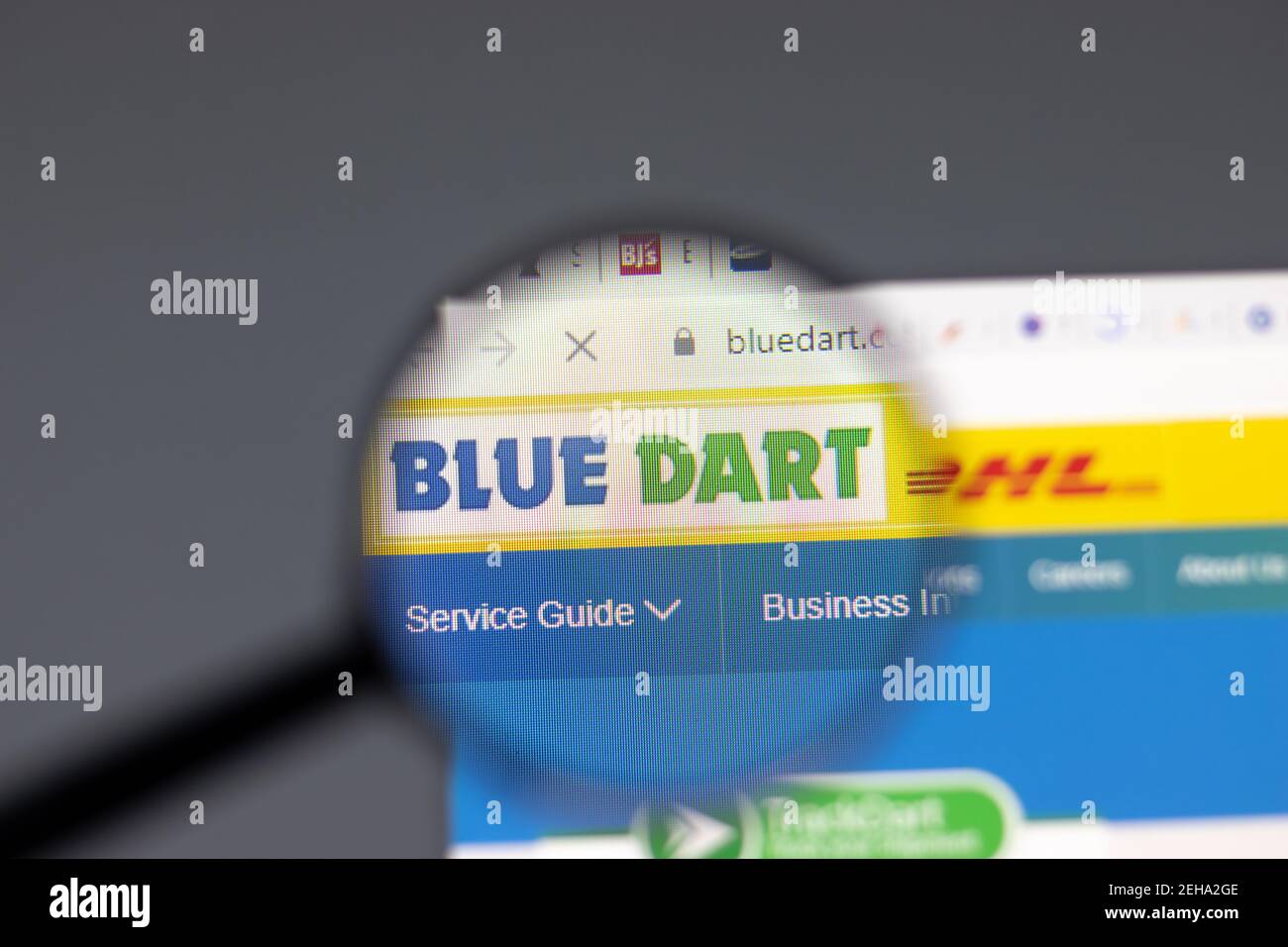 New York, USA 15 February 2021 Blue Dart Express website in browser