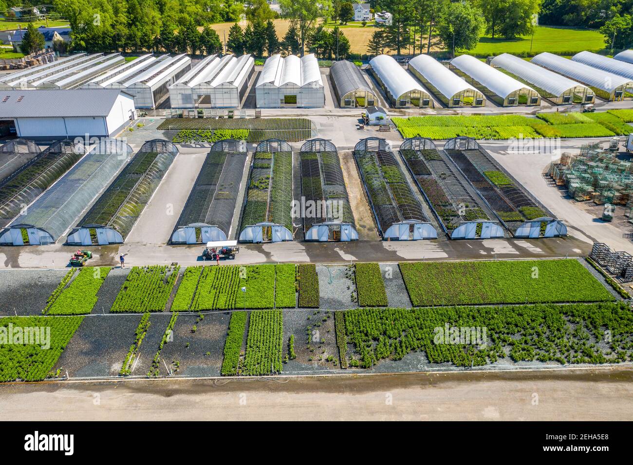 Aerial view of commercial nursery with greenhouses in a row, Glen Arm