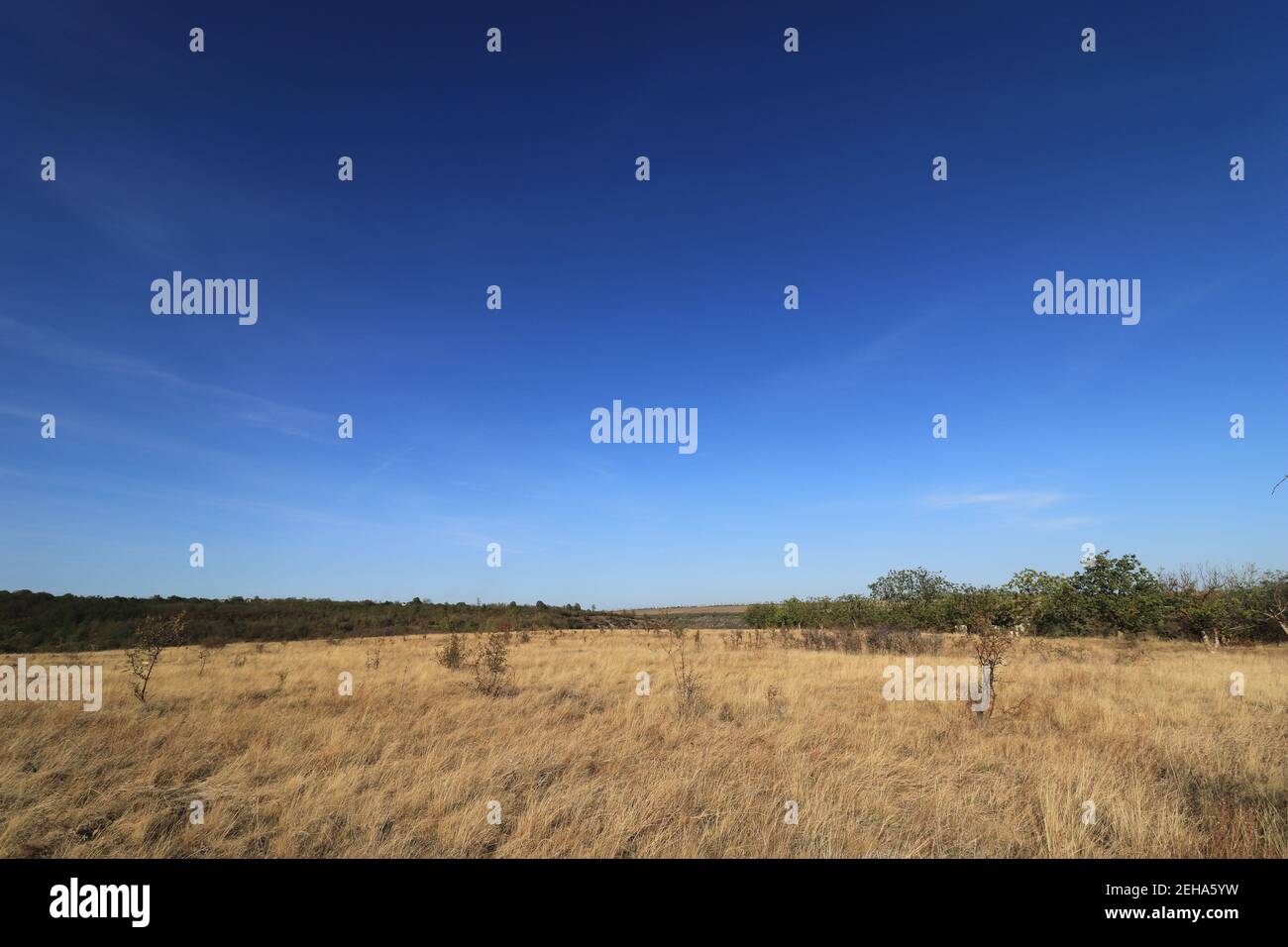 Curated visual reference: Visual Reference: Field After Harvest Remained Hi Res Stock Photography And Images