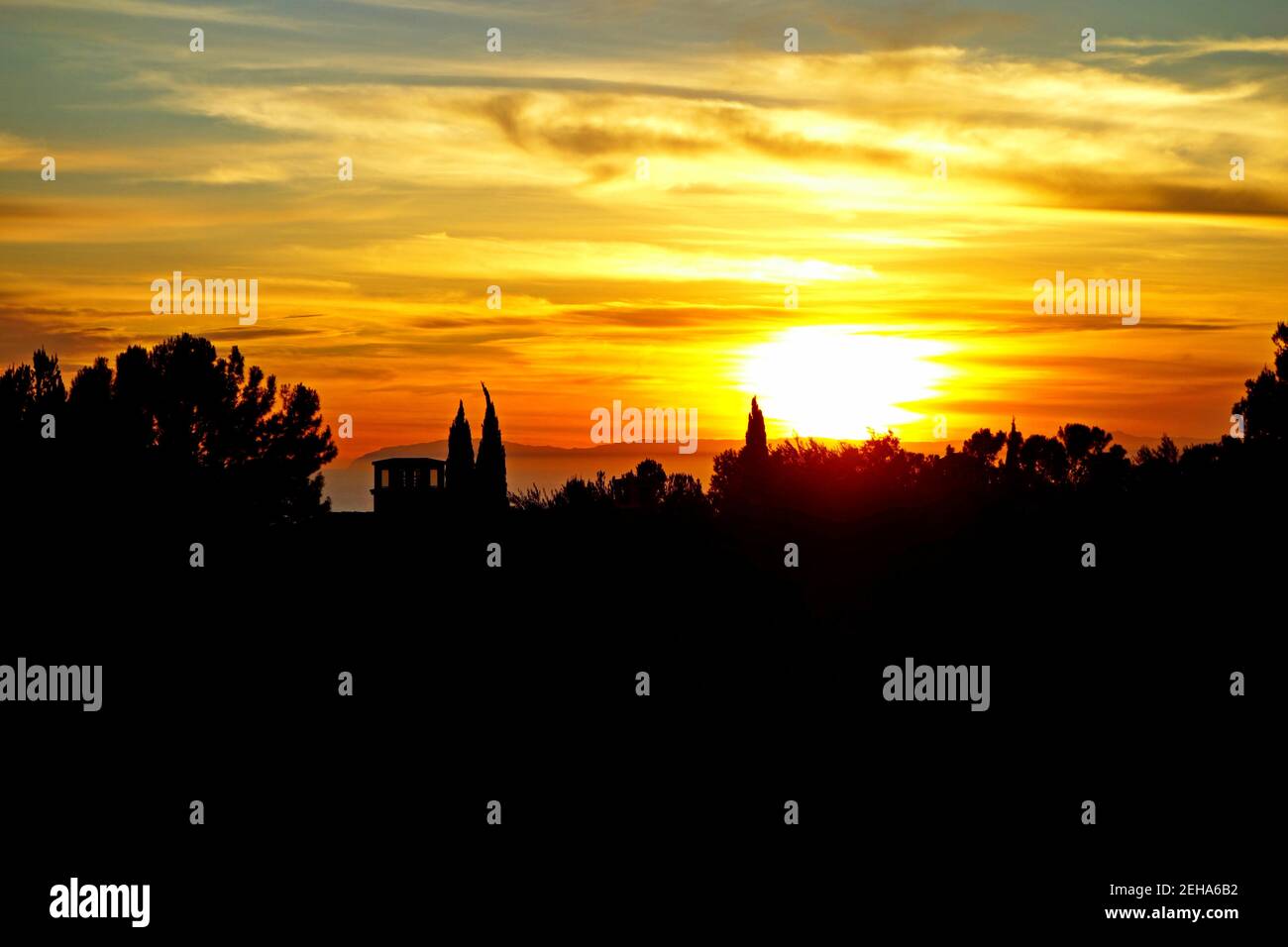 Beautiful golden sunset sky over the woods Stock Photo - Alamy