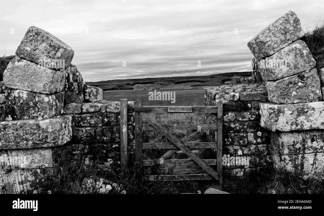 Hadrian's Wall. Ancient wall dividing Scotland from England. UK Stock Photo