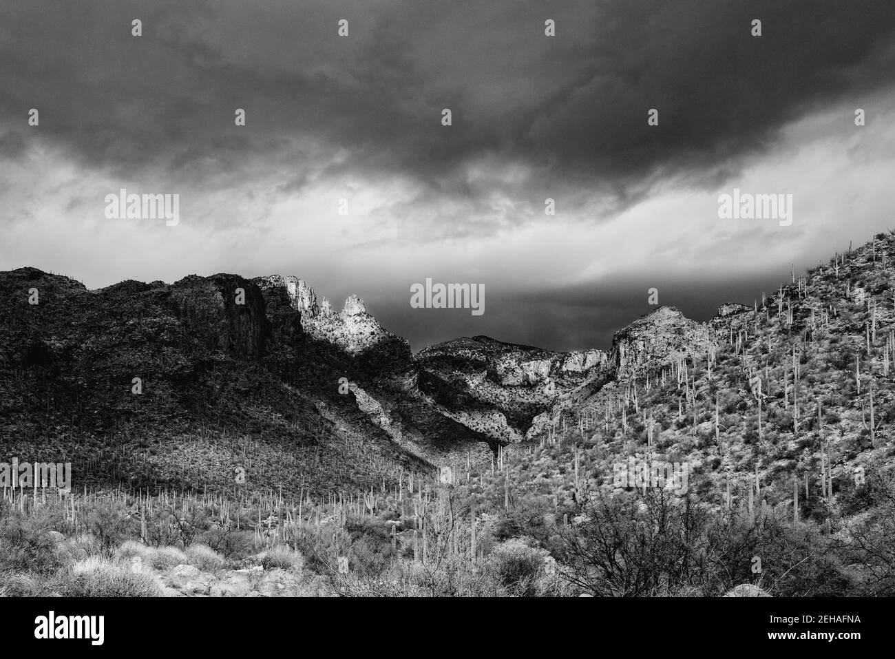 Finger Rock on a high contrast day, Santa Catalina Mountains, Tucson--black and white Stock Photo