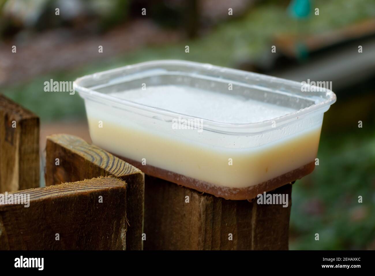 Turkey animal fat from christmas in a plastic container on a fence for