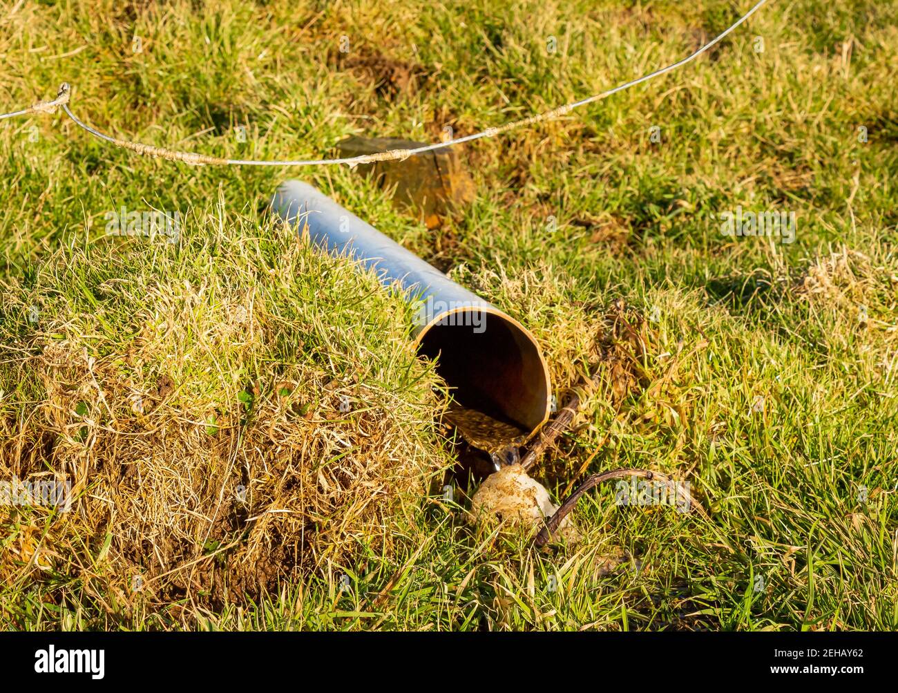 Water flowing out of a drain pipe in a field Stock Photo