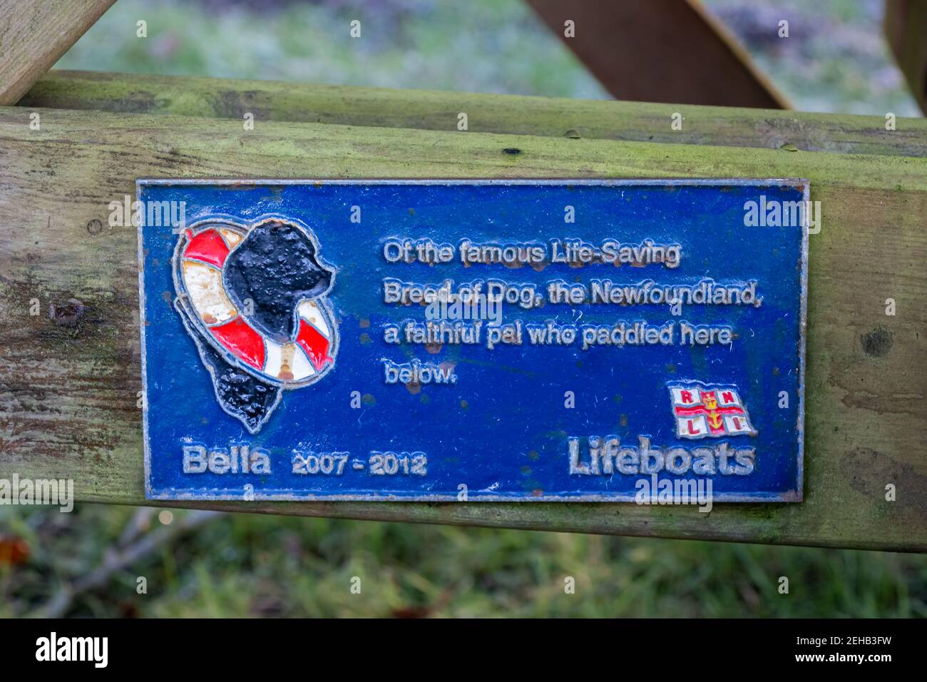 Kirkcudbright, Scotland - 28th December 2020: RNLI Pet memorial plaque for a dog on a wooden bench Stock Photo