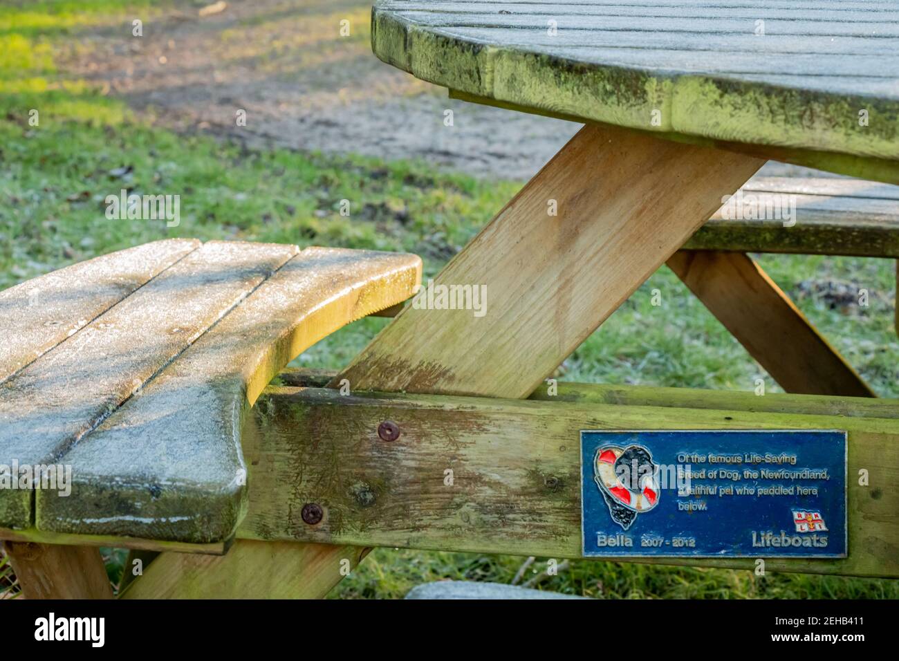 Kirkcudbright, Scotland - 28th December 2020: RNLI Pet memorial plaque for a dog on a wooden bench Stock Photo
