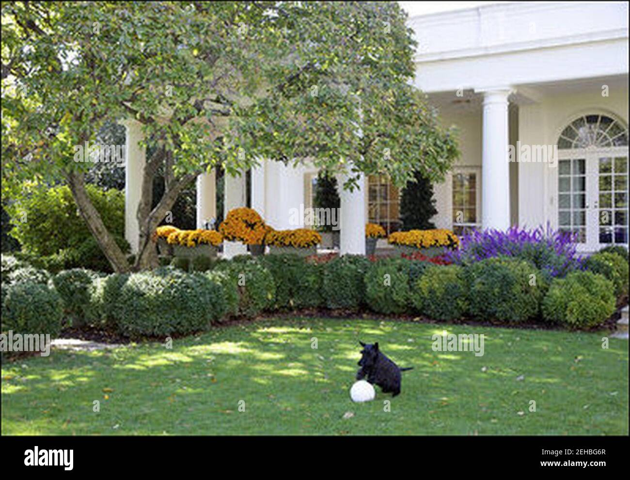 Oval Office view from Rose Garden Stock Photo Alamy