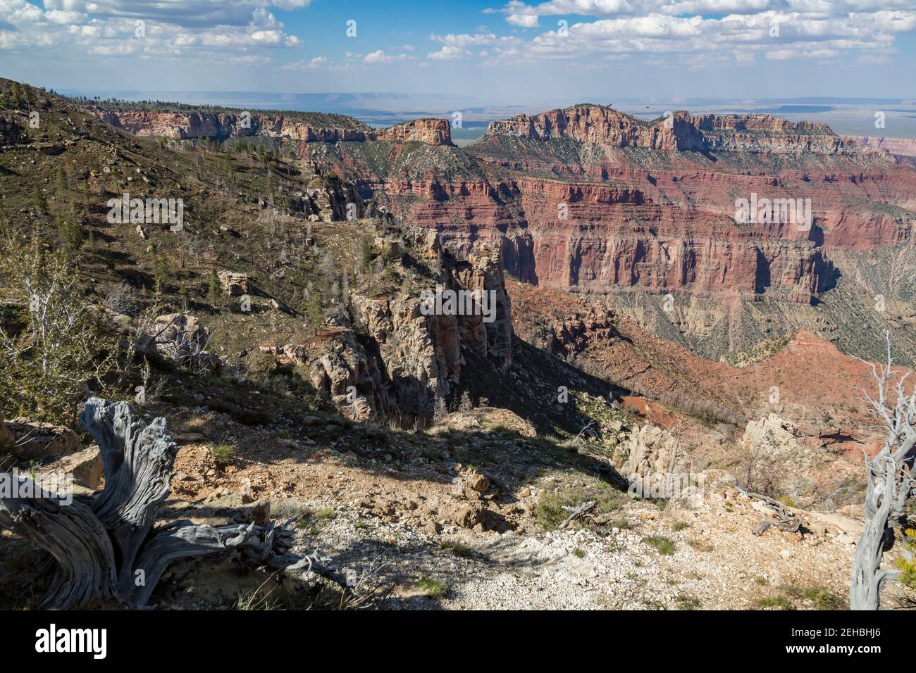 North Rim of the Grand Canyon in Northern Arizona, USA Stock Photo