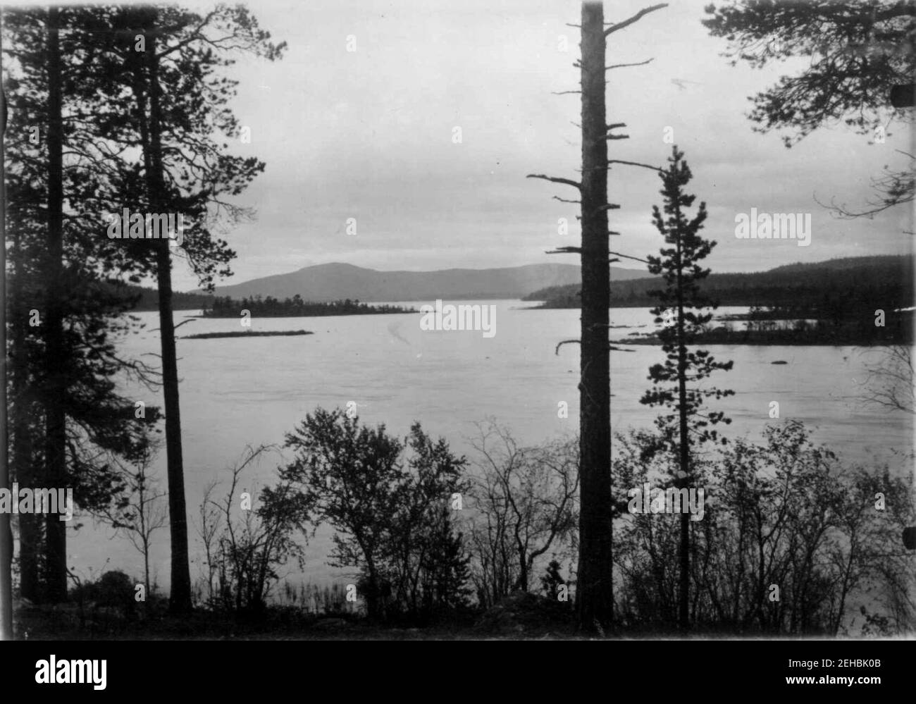 Oversiktsbilde over Vaggatemsjøen, Pasvikdalen, Sør-Varanger, Finnmark, før 1900 Stock Photo