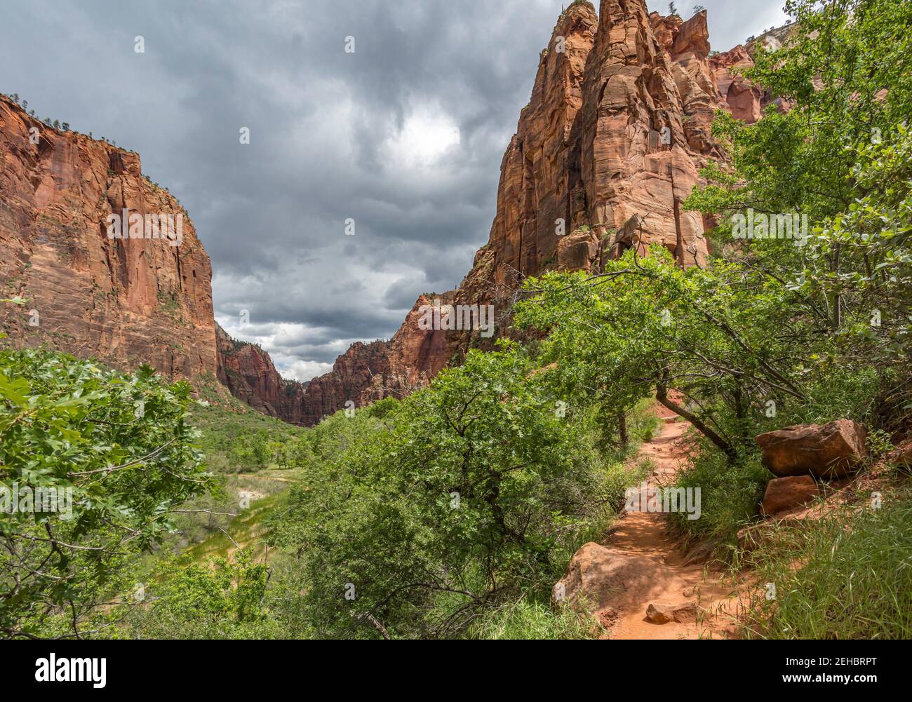 Zion National Park in Southwest Utah, USA Stock Photo