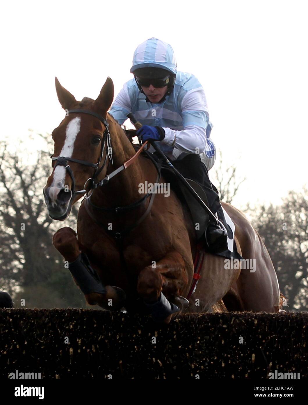Horse Racing - Plumpton - Plumpton Racecourse - 2/1/11  Liam Treadwell and Tullamore Dew (L) before going on to win the 13.05 At The Races Sky 415 Novices' Steeple Chase Race  Mandatory Credit: Action Images / Julian Herbert  Livepic Stock Photo