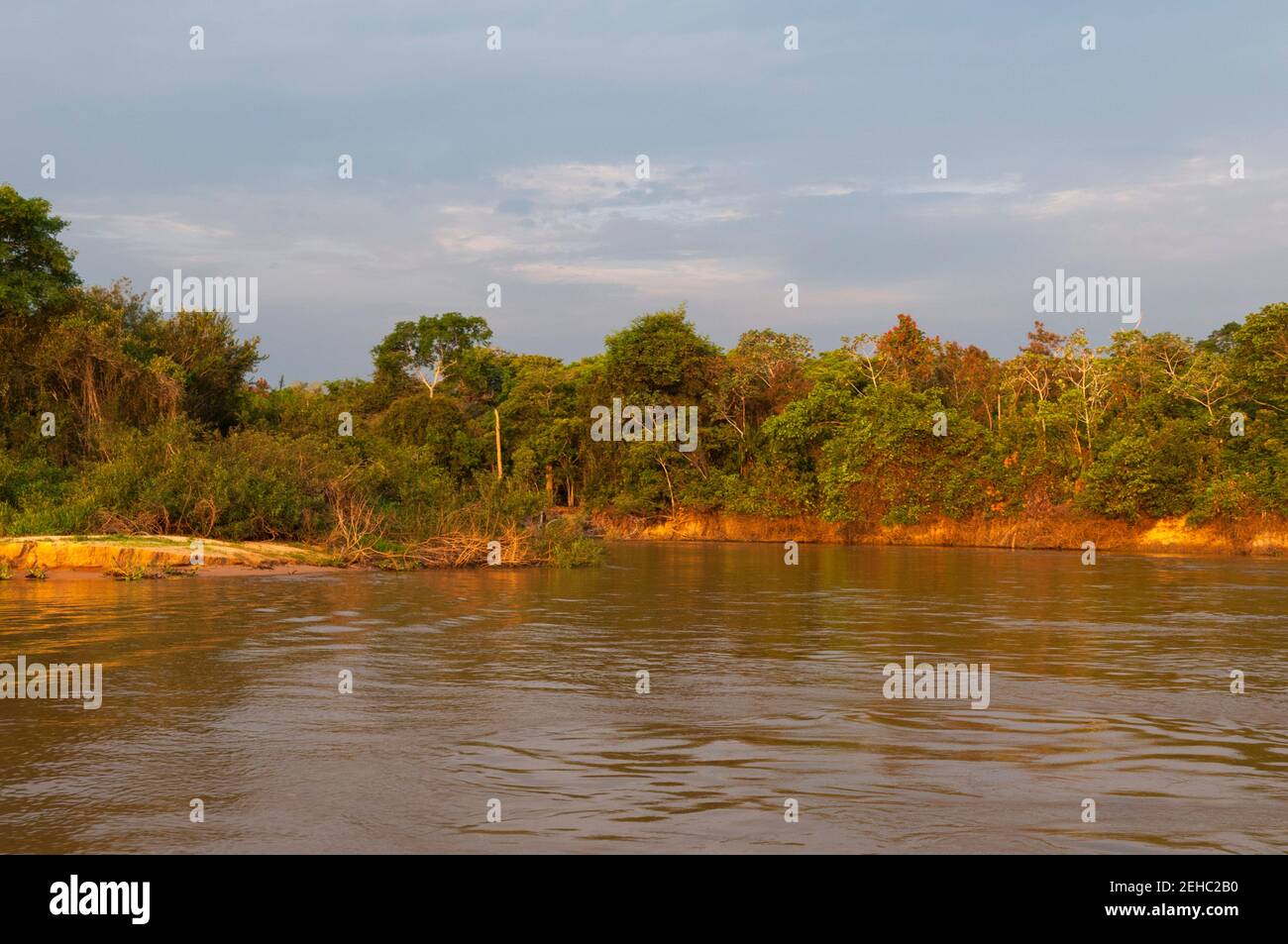 Mato grosso landscape hi-res stock photography and images - Alamy
