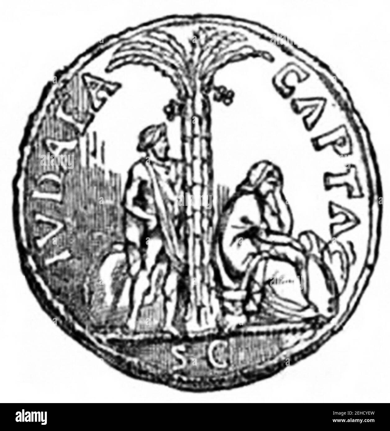 P117Roman Medal representing the Palmtree of Judea Stock Photo Alamy