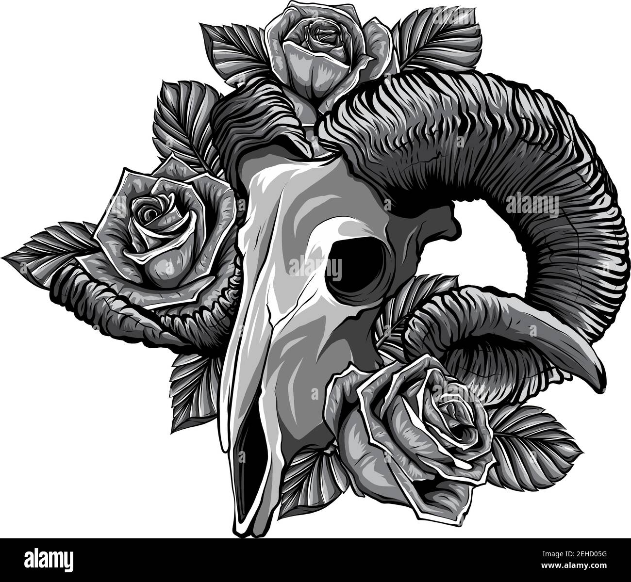 goat skull vector illustration. occult symbol. goat devilish magical symbol  and Flowers peonies and roses Stock Vector Image & Art - Alamy