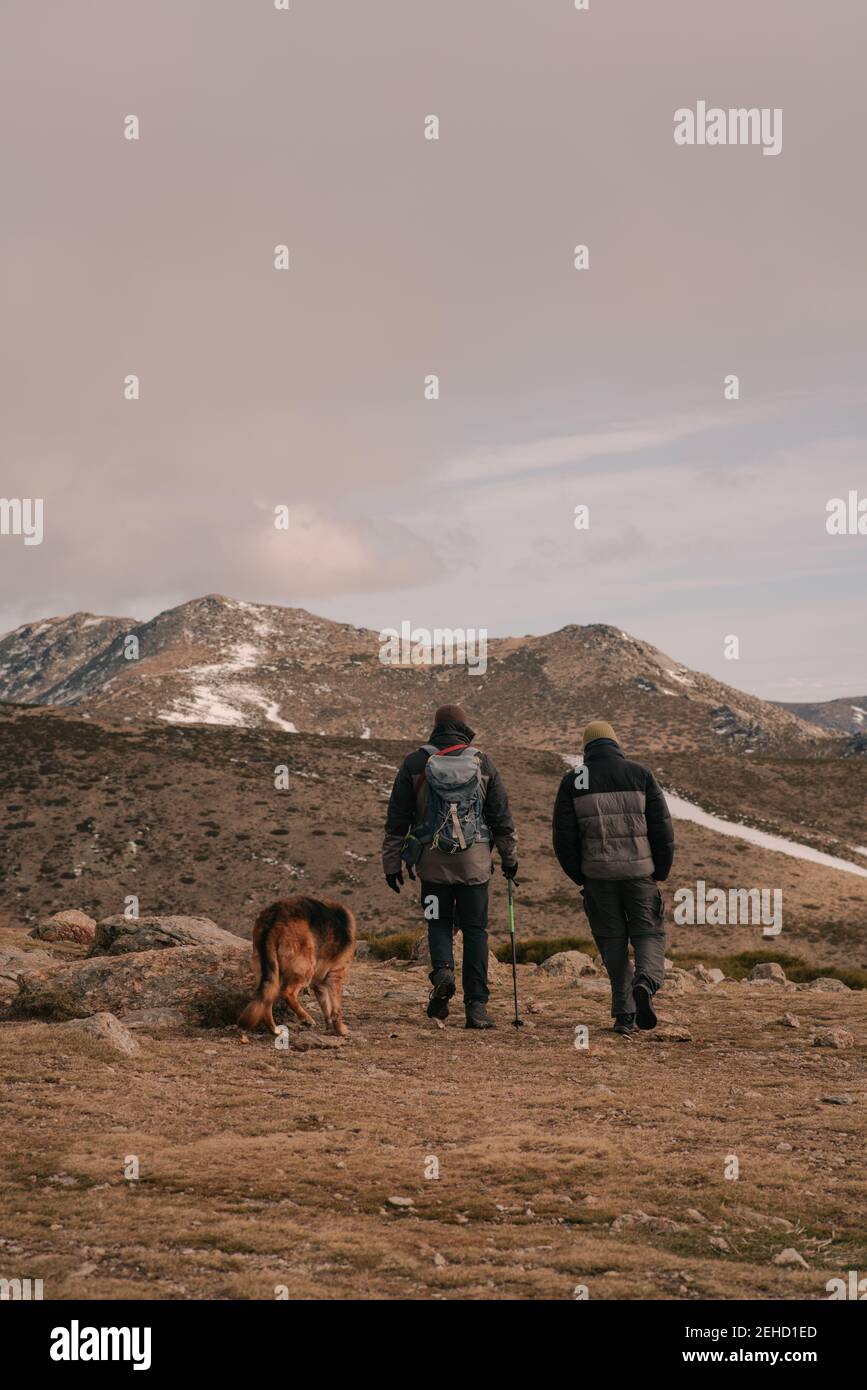 german shepherd backpacks