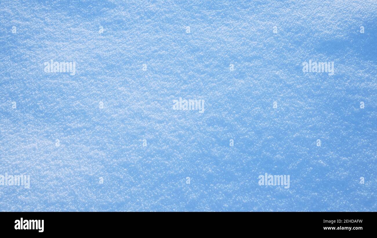 Ground covered with fresh white snow Stock Photo