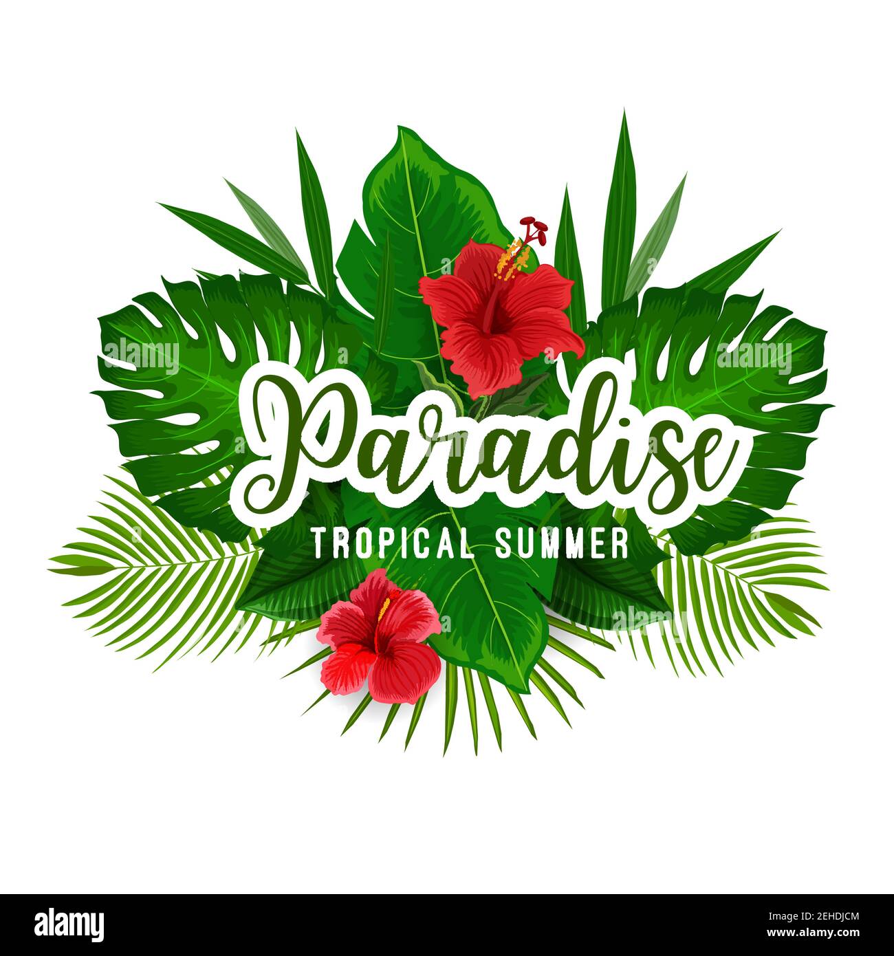 Tropical jungle palm leaf and exotic flower poster for summer vacation and holiday template. Red hibiscus, fan and banana palm tree, monstera and phil Stock Vector