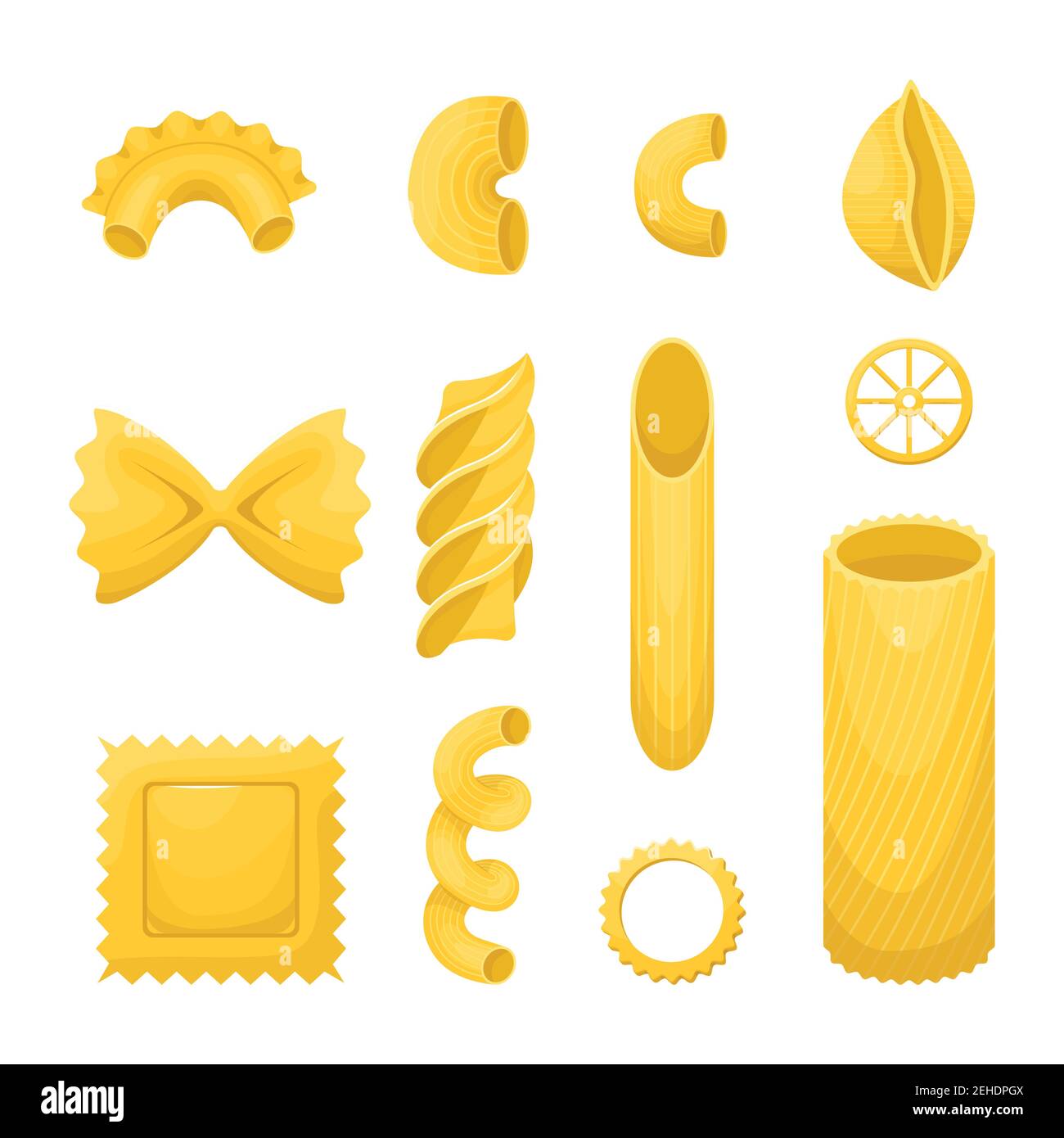 Delicious italian pasta types of high quality Vector Image