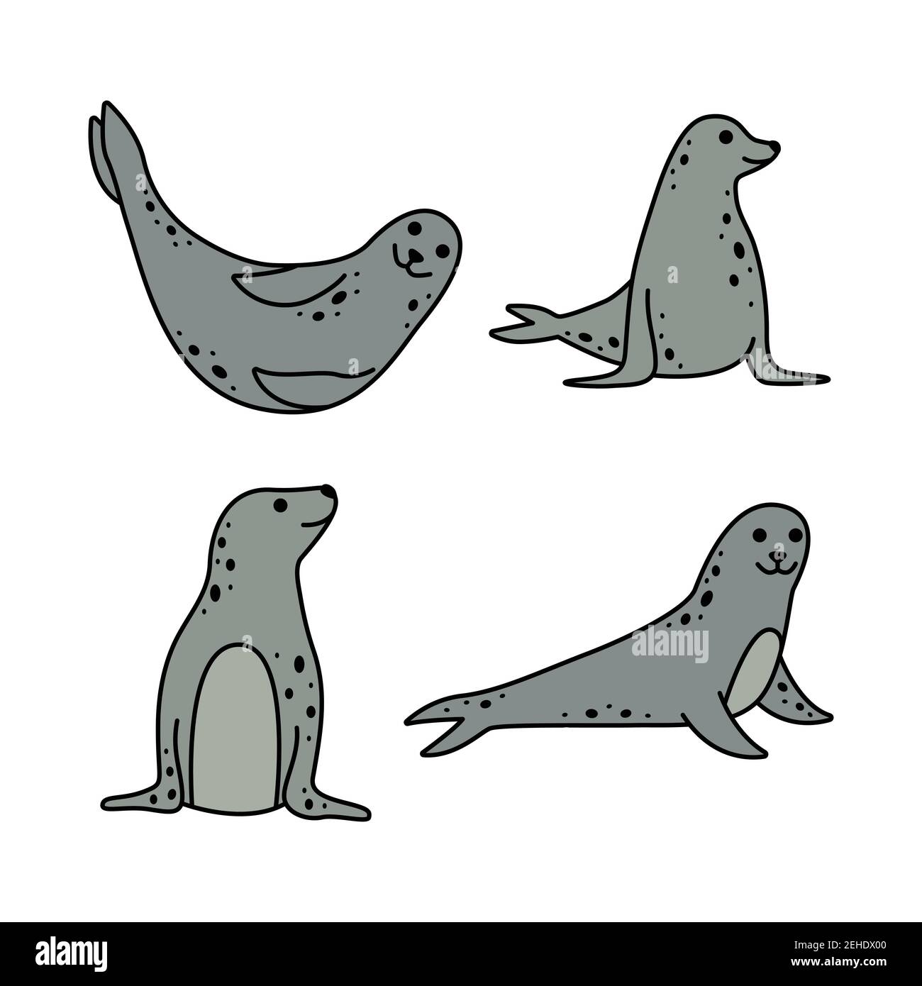 Vector set of sea seals. Marine animals. Line art and simple style