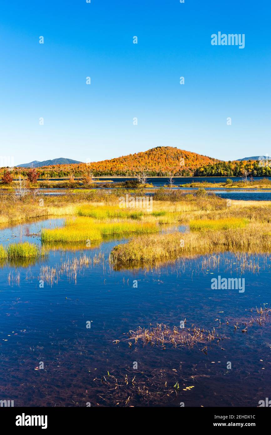 Simon Pond in autumn, Adirondack Mountains, Franklin County, New York Stock Photo
