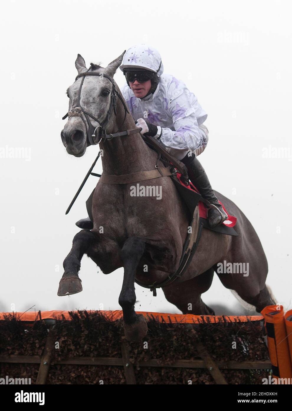 Horse Racing - Kempton  - Kempton Park Racecourse - 12/1/13  Cloudy Copper ridden by Richie McLernon before going on to win the 13.30 williamhill.com Novices' Hurdle Race  Mandatory Credit: Action Images / Julian Herbert  Livepic Stock Photo