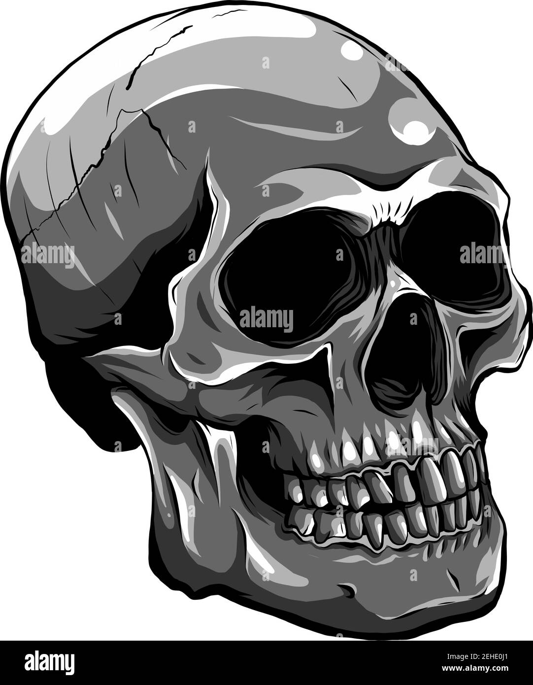 Realistic red skull. Illustration for designer on a white background. Stock Vector