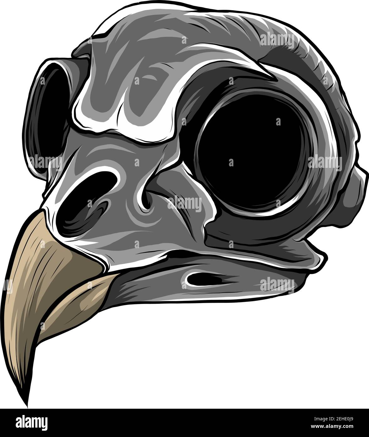 Realistic red bird skull. Illustration for designer on a white background. Stock Vector