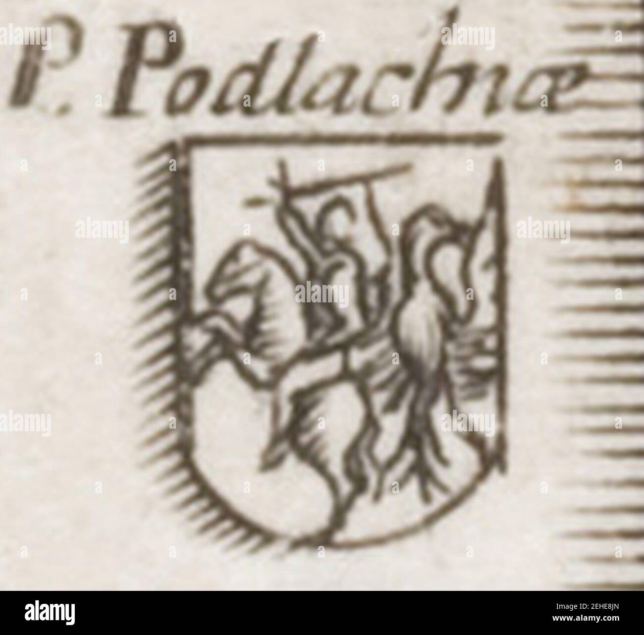 Padlašša, Pahonia. Падляшша, Пагоня (A. Hogenberg, 1616 Stock Photo - Alamy