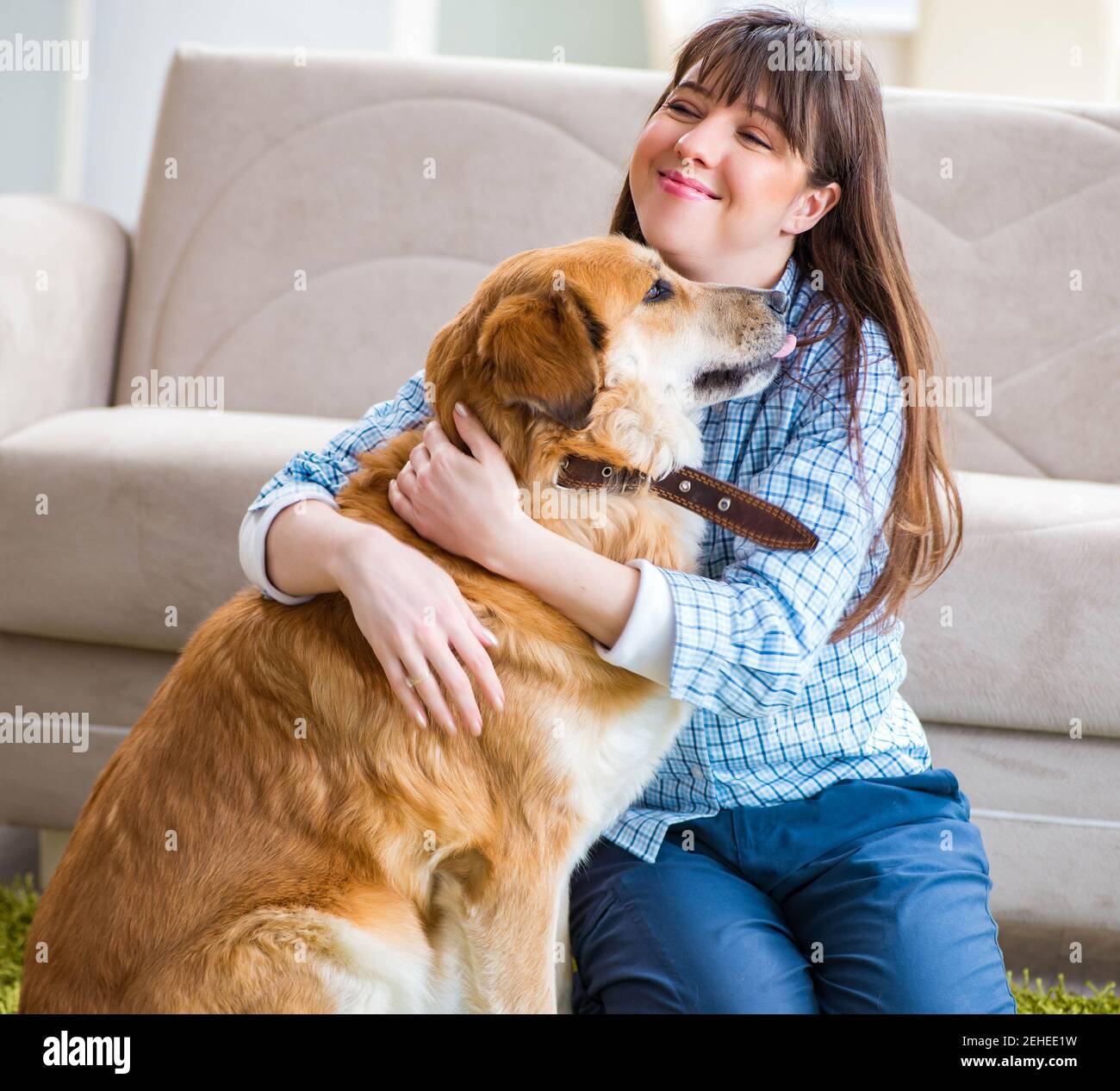 The happy woman dog owner at home with golden retriever Stock Photo - Alamy