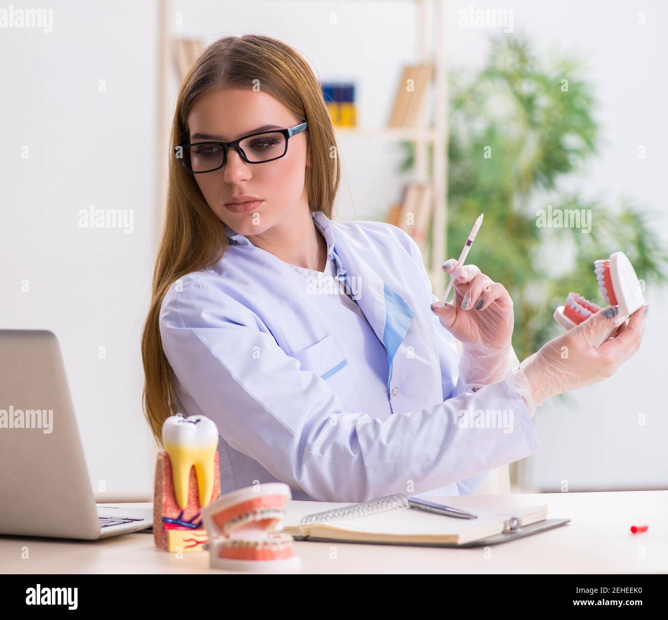 The dentistry student practicing skills in classroom Stock Photo Alamy