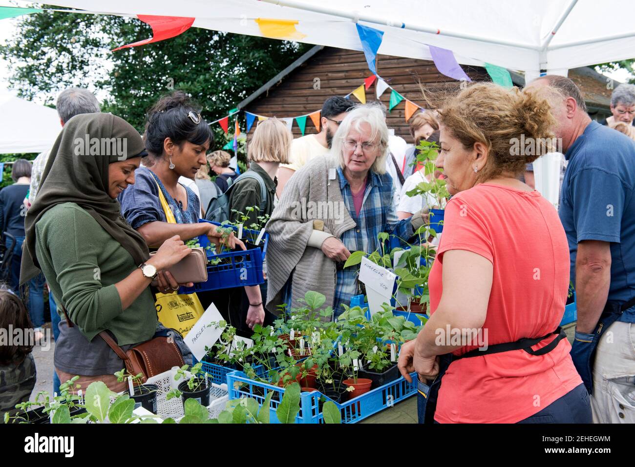 People buying plants from stall at plant sale, Alexandra Palace