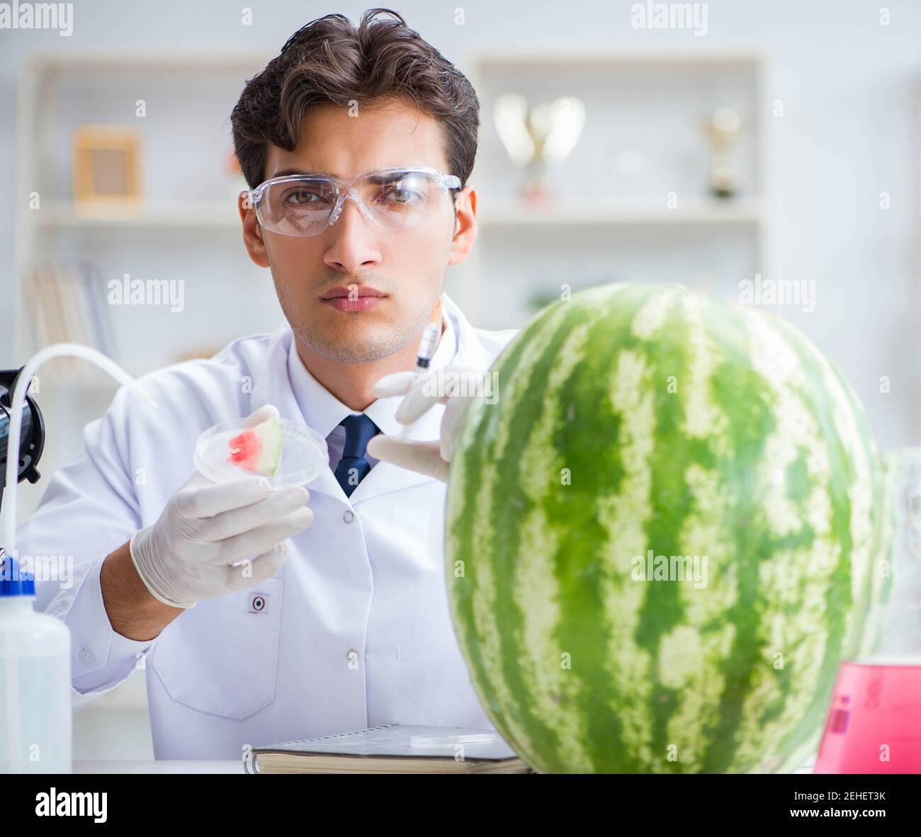 The scientist testing watermelon in lab Stock Photo - Alamy
