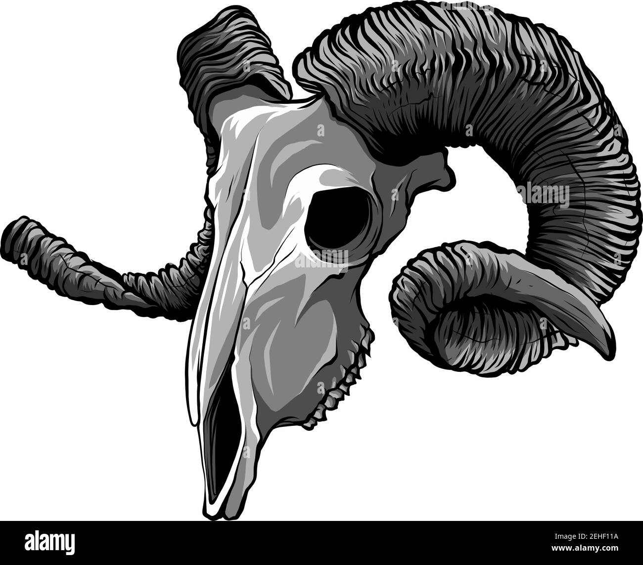 Realistic red goat skull. Illustration for designer on a white background. Stock Vector
