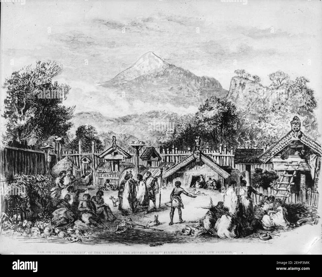 Pah or fortified village of the natives in the province of New Plymouth (Taranaki) New Zealand. Stock Photo