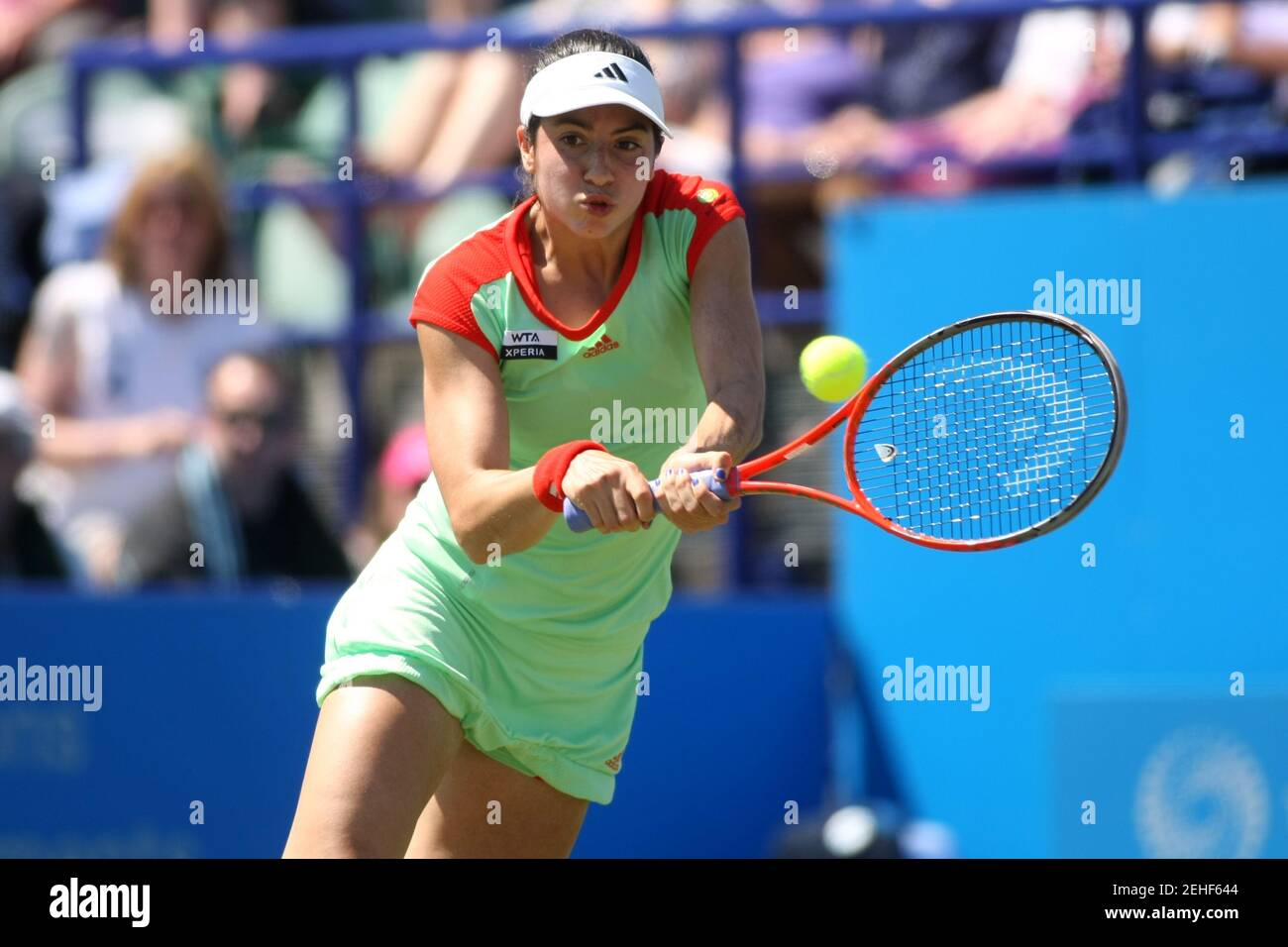 Tennis - AEGON International - Devonshire Park, Eastbourne - 19/6/12 USA's  Christina McHale Mandatory Credit: Action Images / Lee Mills Stock Photo -  Alamy