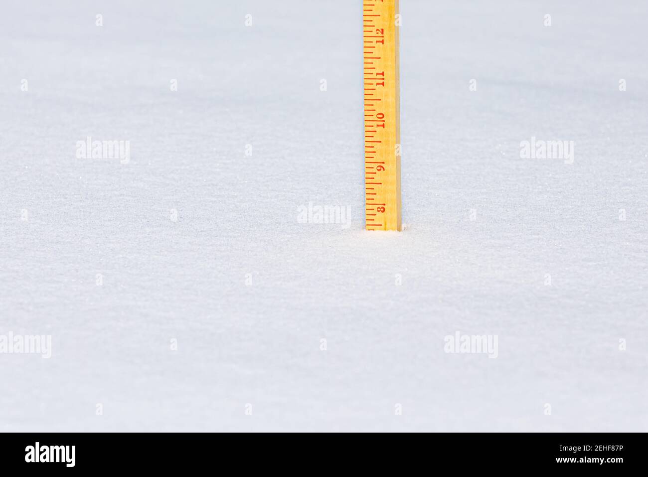 Yardstick measuring snow after winter storm. Concept of winter weather, snowstorm and weather forecast Stock Photo