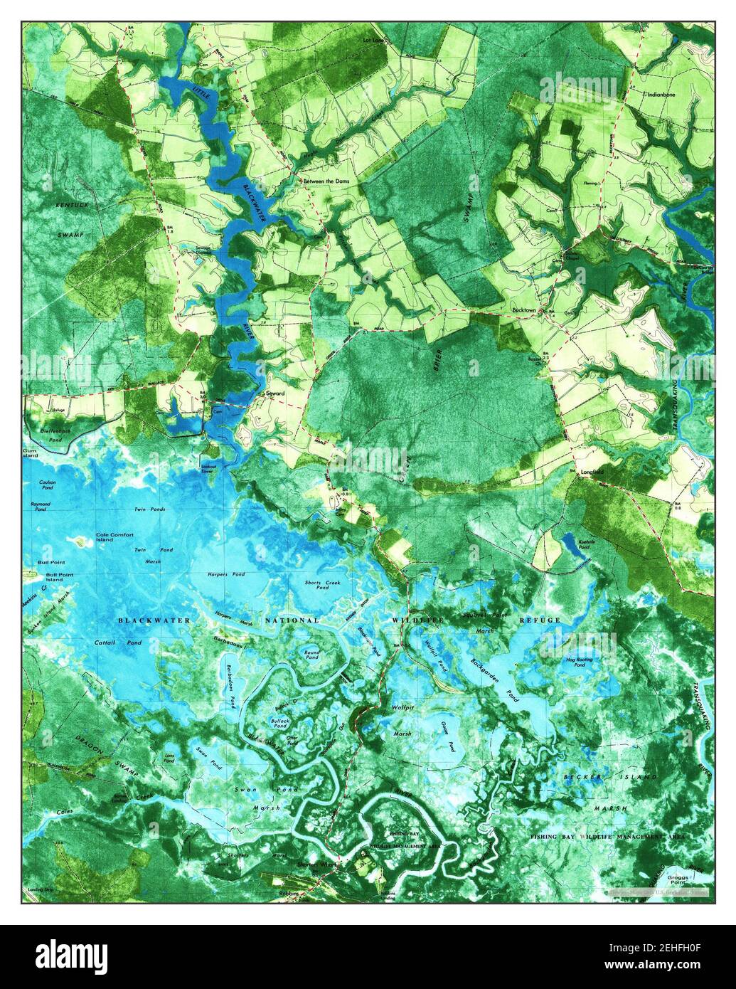 Blackwater River, Maryland, map 1982, 124000, United States of America