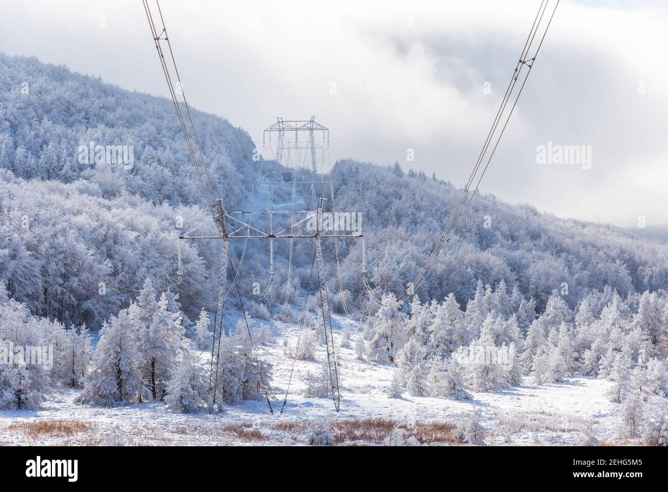 Electricity pylons in winter mountains in Bulgaria Stock Photo - Alamy