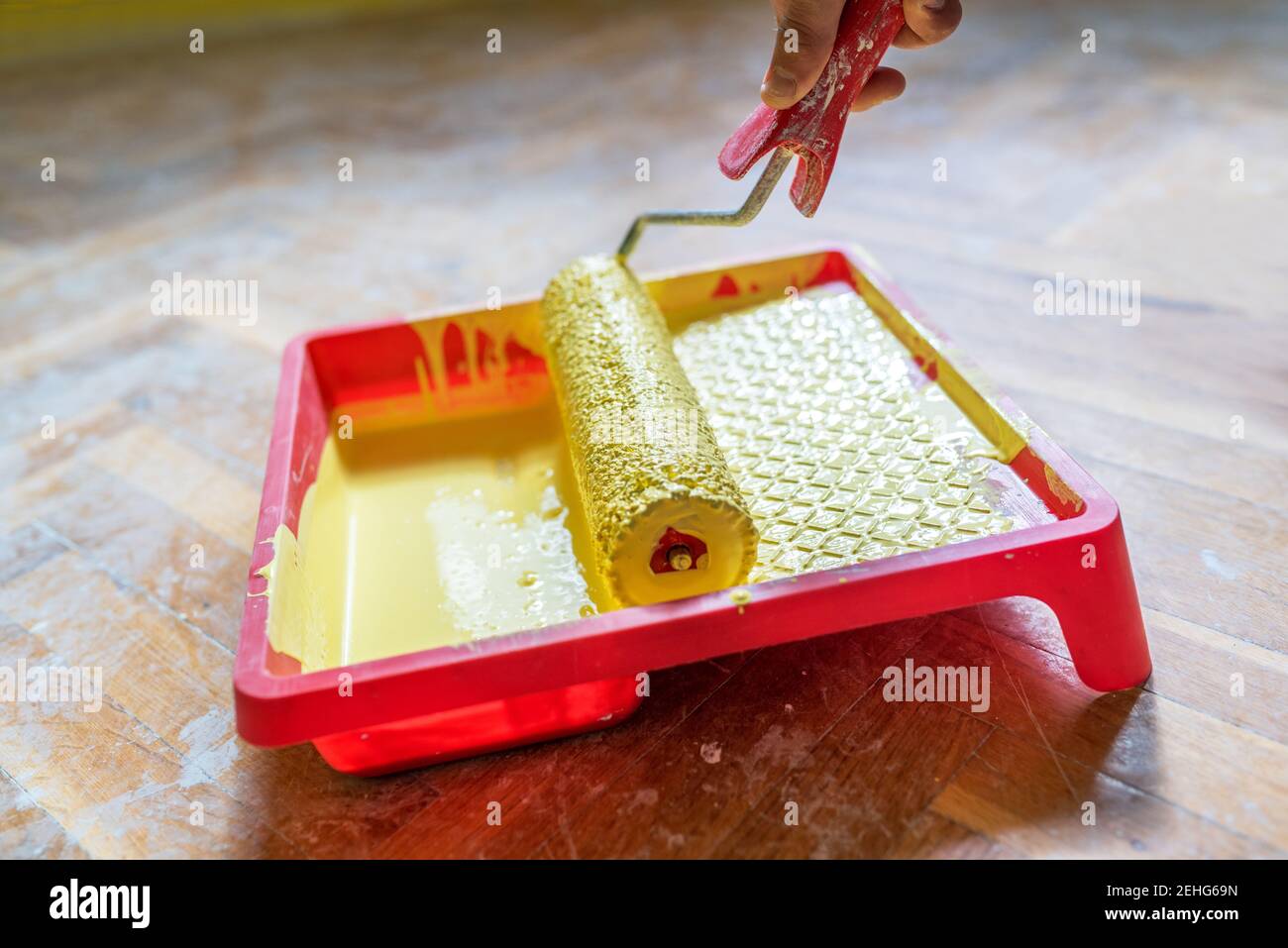 Painted wall and painting supplies ,roller, brush, tray liner and paint