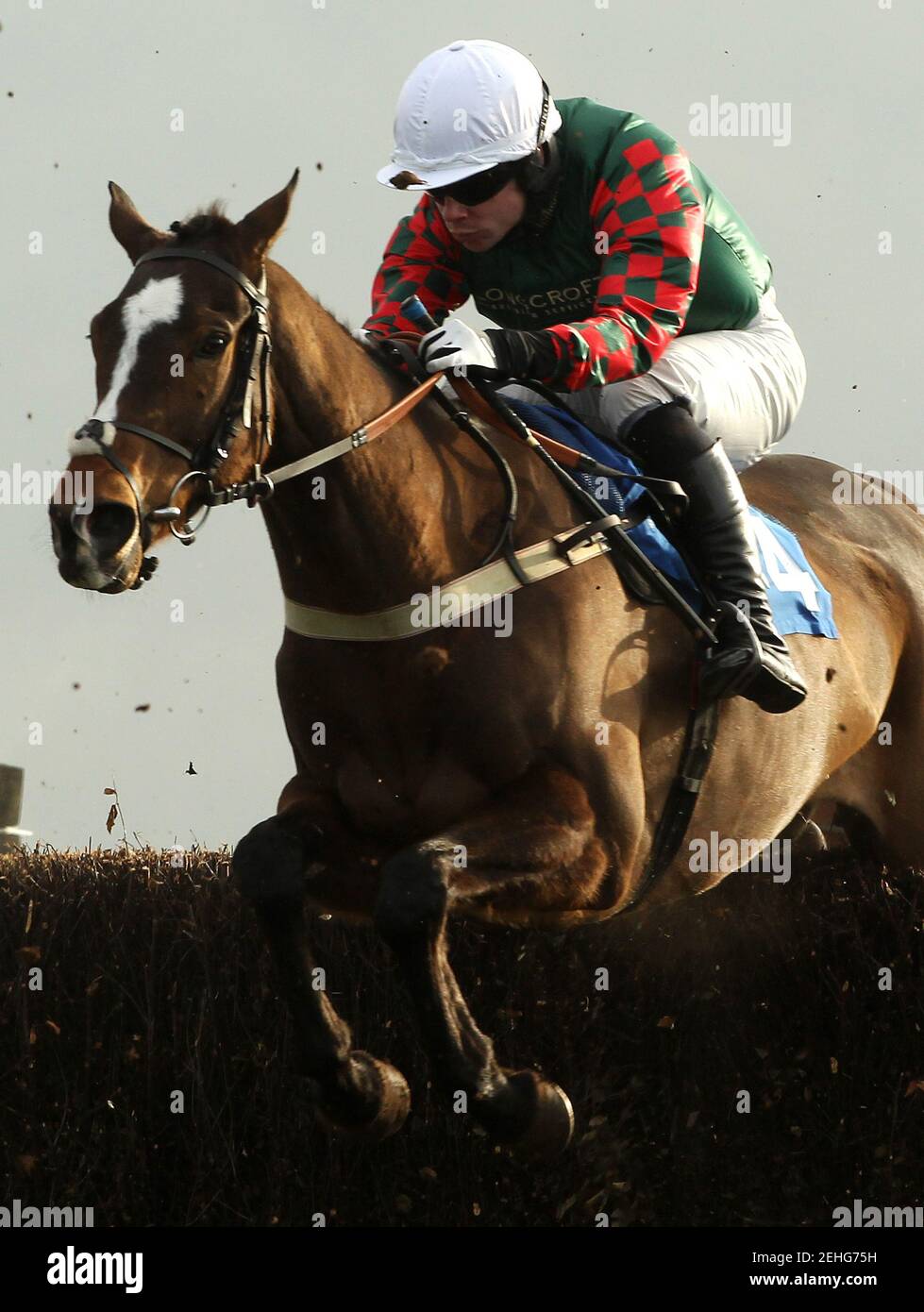 Horse Racing - Taunton  - Taunton Racecourse - 3/3/11  Laneguy ridden by Denis O'Regan clears a fence before going on to win the 15.50 The southwest-racing.co.uk Novices' Handicap Steeple Chase Race  Mandatory Credit: Action Images / Julian Herbert  Livepic Stock Photo
