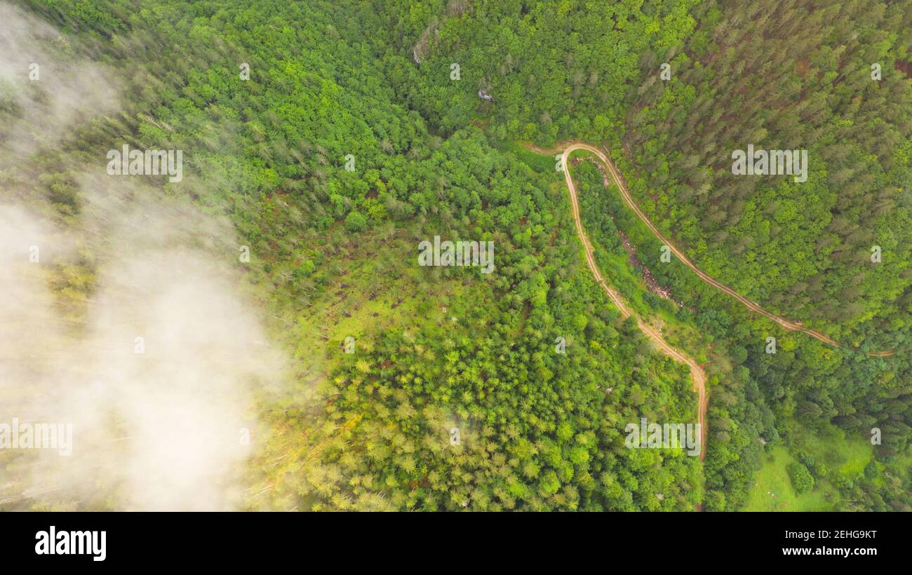 Overhead view forest hi-res stock photography and images - Alamy