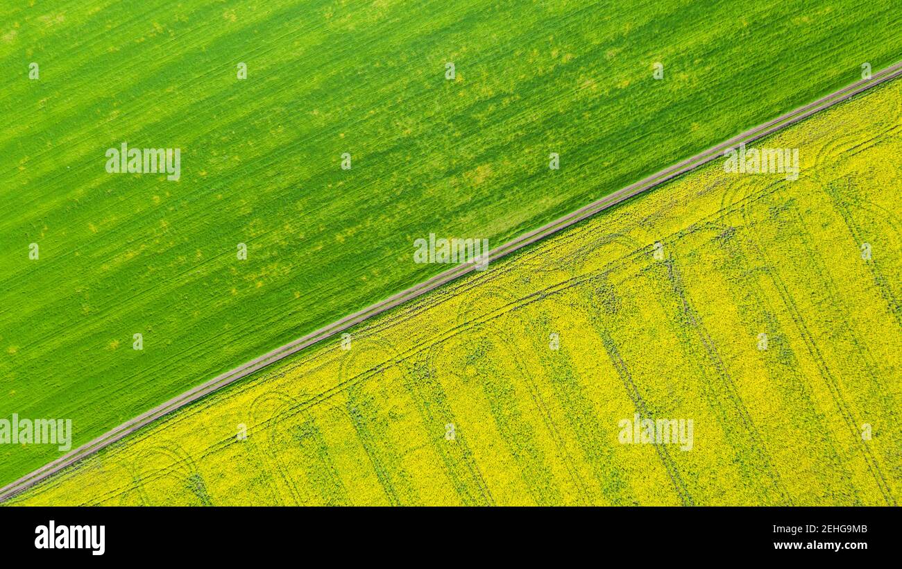 Aerial view of summer fields. Yellow fields from above. Photo captured ...
