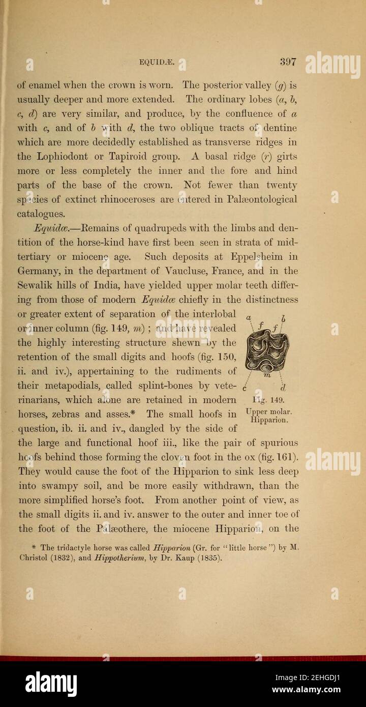 Page397